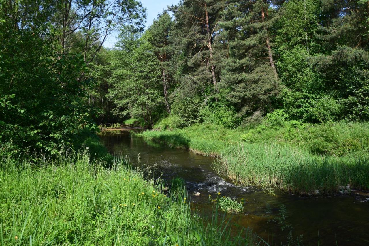 Stary Janow - Pensjonat Staporkow ภายนอก รูปภาพ